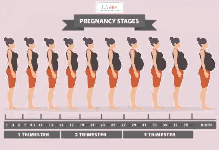 First Trimester (Weeks 1–12): Early Changes You Might Not Notice Bovingdon
